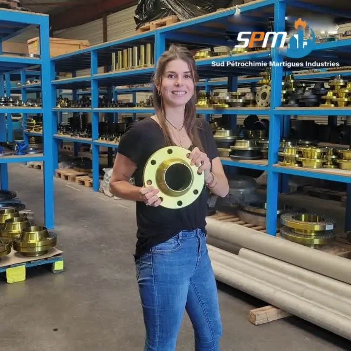 Sud Pétrochimie Martigues Industrie
